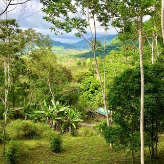 Dirty Feet, Clean Life!