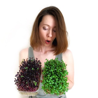 Ешь зеленое