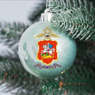 Подмосковная полиция