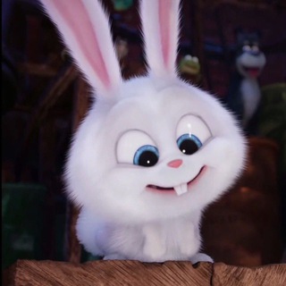 zloy genius (ТОП-1 СТОРИС)