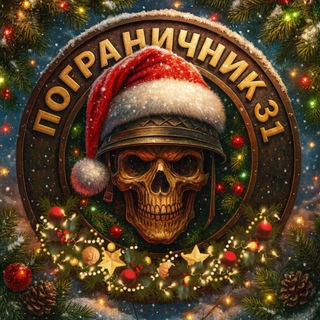 Пограничник 31